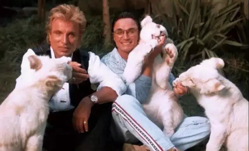 那些在魔术路上彼此陪伴的人