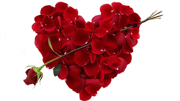 2017表白必备近景魔术Valentine by Dynamite