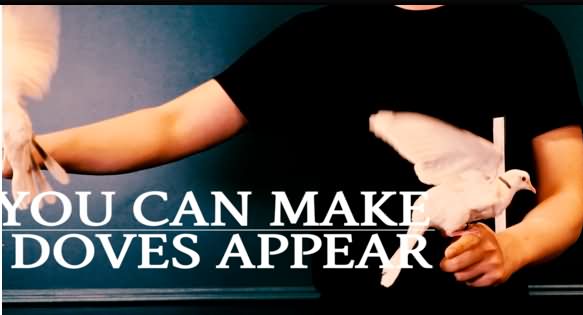 2025 韩国 鸽子魔术D.Book Lecture Nobody by C.Y