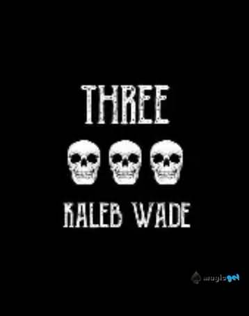 2025纸牌魔术Three by Kaleb Wade
